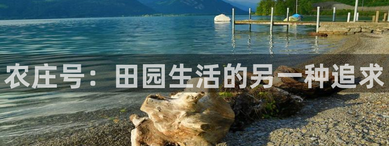 琳琅娱乐工作室