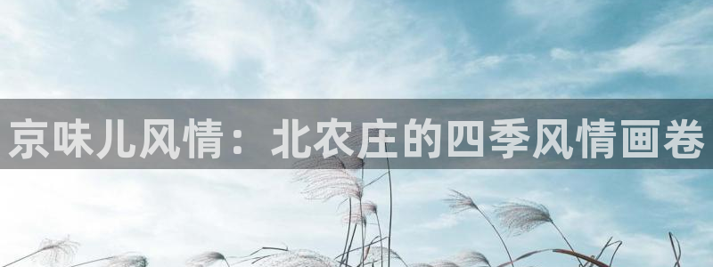 琳琅娱乐注册资金多少钱