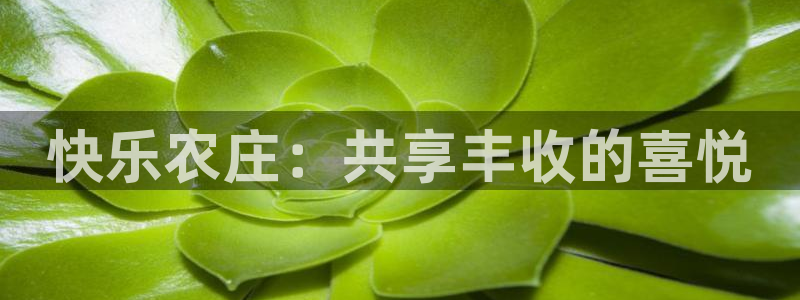琳琅娱乐代理人是谁