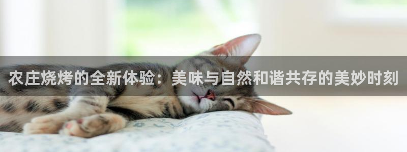 琳琅科技娱乐机器人下载