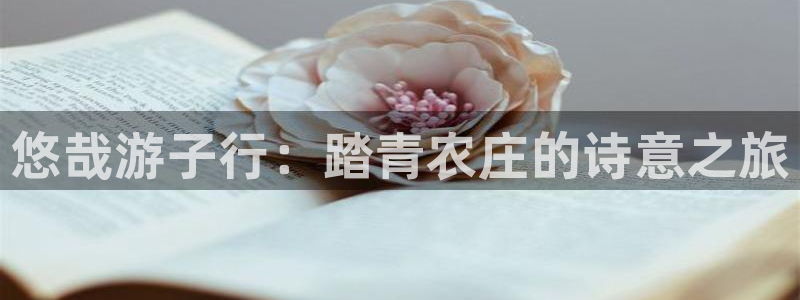 琳琅科技娱乐机器人插件