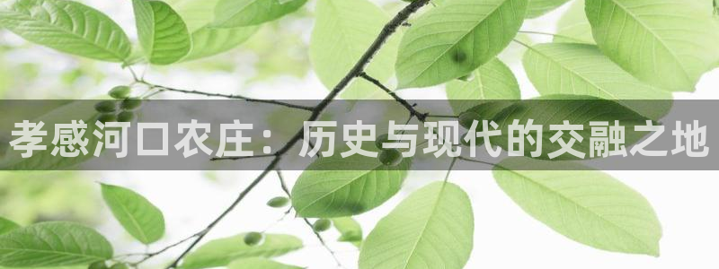 琅琳琅娱乐