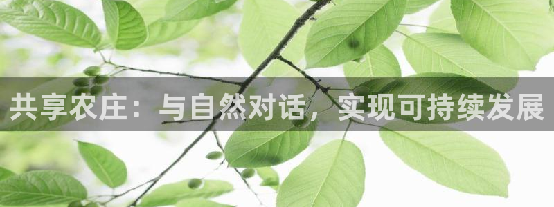 琳琅娱乐怎么样知乎