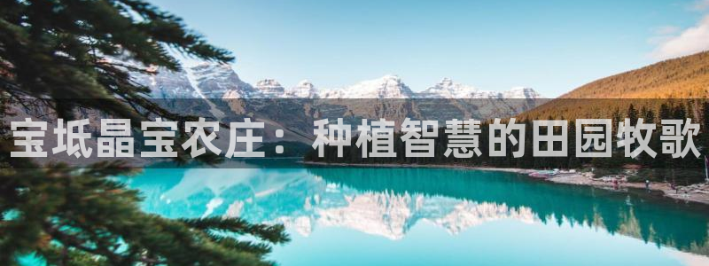 琳琅娱乐机器人