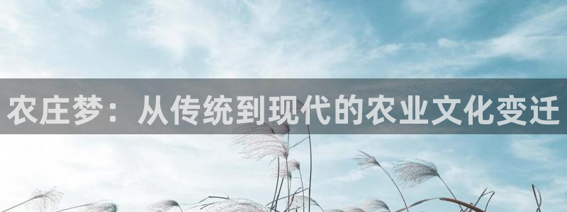 琳琅谈娱乐