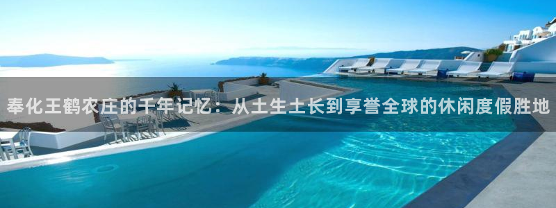 琳琅偏爱娱乐