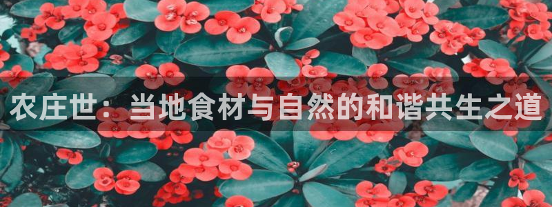 孝感琳琅娱乐会所