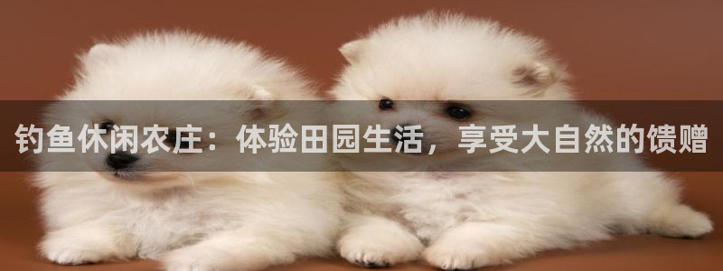 琳琅科技娱乐机器人教程
