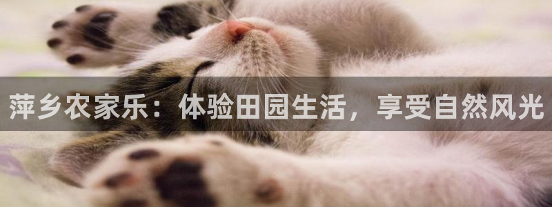 琳琅娱乐场所有哪些