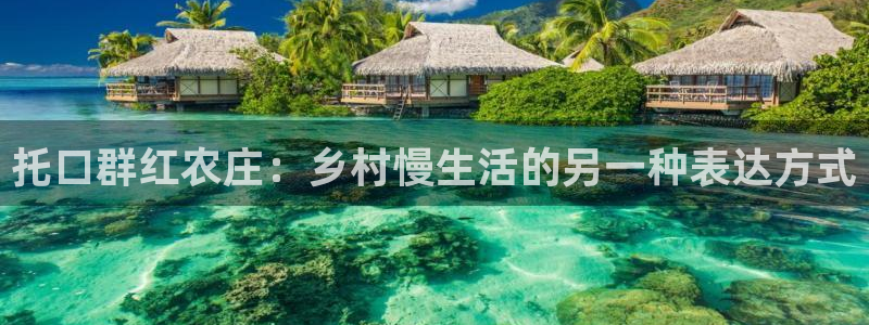 琳琅科技娱乐机器人