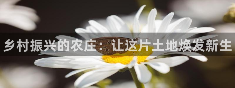 琳琅科技娱乐QQ机器人