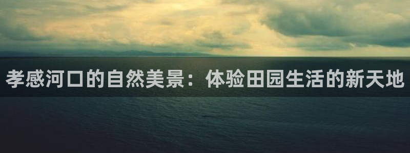 琳琅科技娱乐机器人