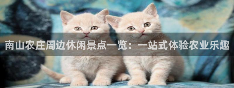 琳琅娱乐天美2
