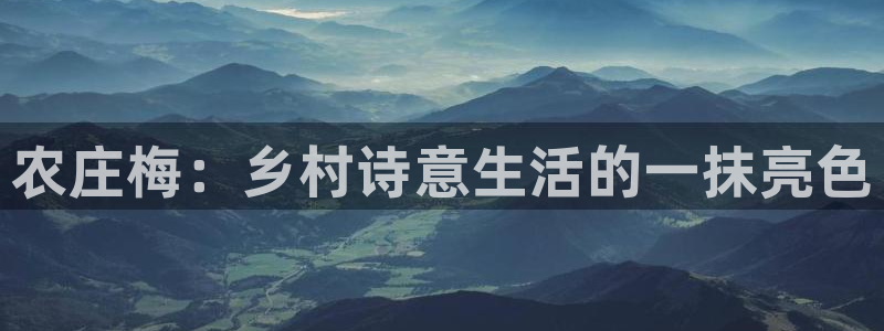 琳琅娱乐登入官网