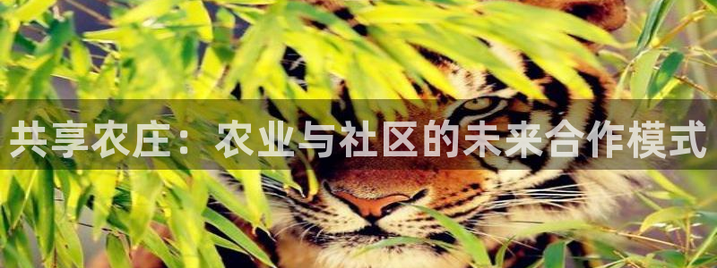 琳琅娱乐主管是谁