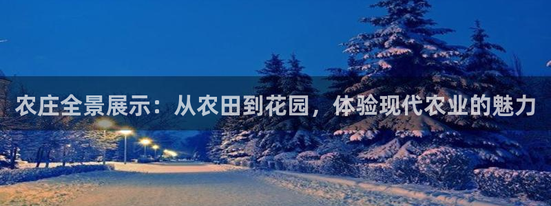 琳琅科技娱乐