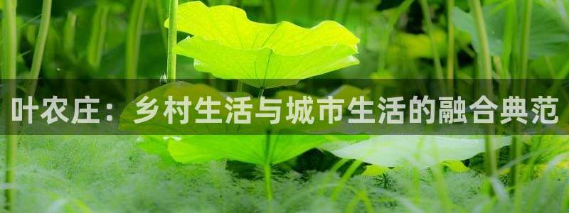 琳琅娱乐场所
