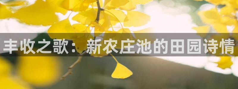 琳琅娱乐平台怎么样