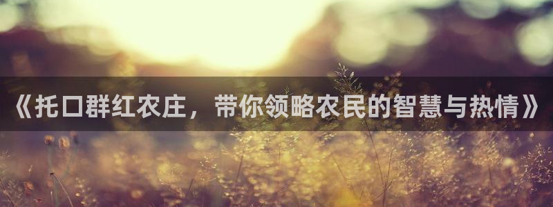 琳琅QQ娱乐机器人