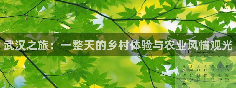 琳琅娱乐平台是真的吗