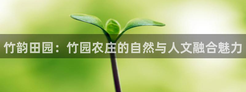 琳琅科技qq娱乐机器人怎么搞