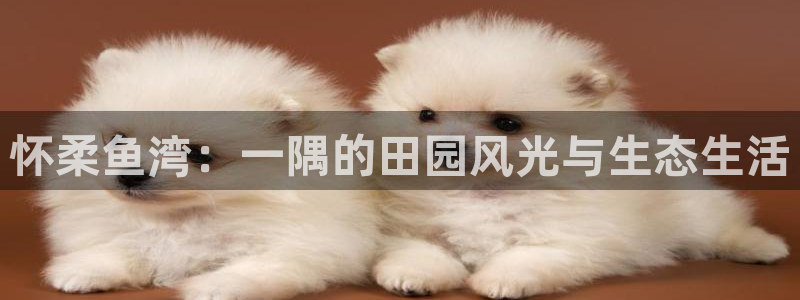 琳琅娱乐直播