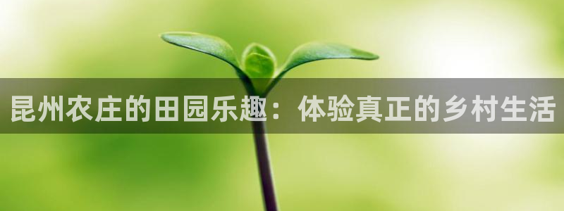 琳琅娱乐600