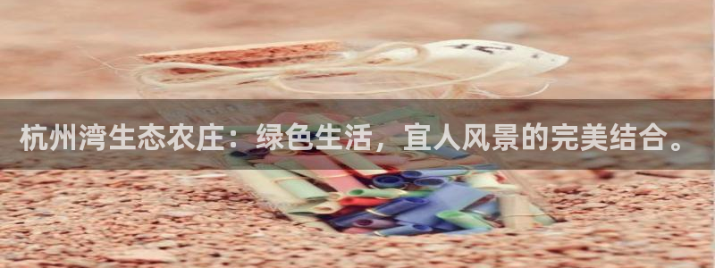 琳琅娱乐代理怎么做的