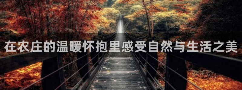 琳琅科技娱乐机器人