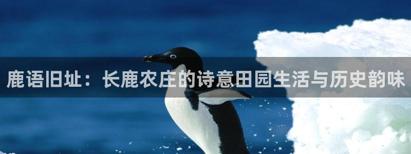 琳琅国际娱乐会所怎么样