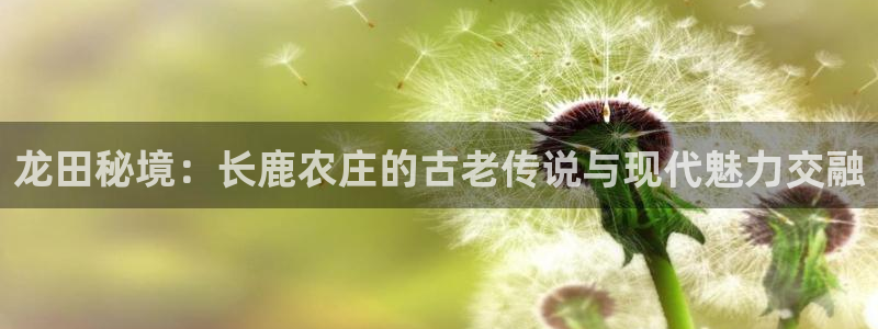琳琅娱乐m