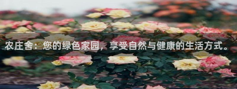琳琅娱乐代理怎么做的