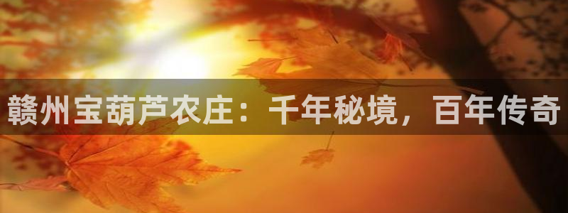 琳琅娱乐除7O777