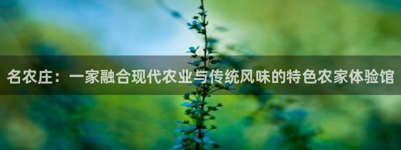 琳琅娱乐怎么样知乎