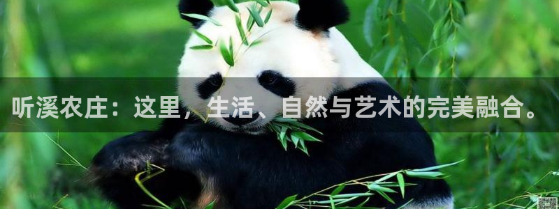 杭州琳琅互动娱乐