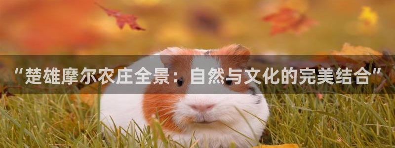 琳琅天上qq飞车娱乐