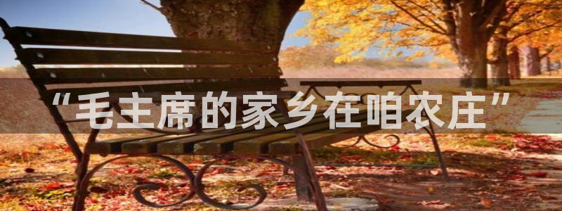 qq飞车琳琅娱乐组