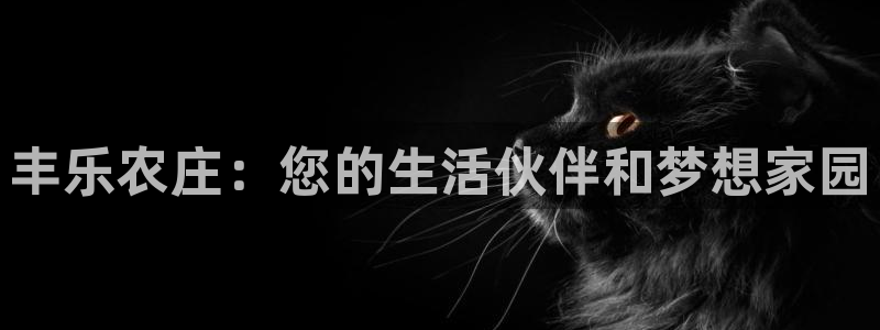 琳琅娱乐APP下载