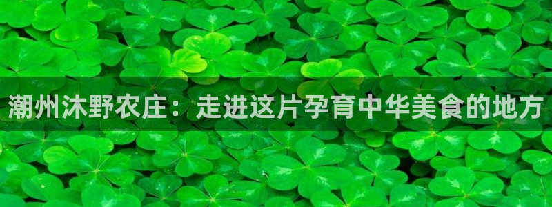 琳琅娱乐 全麦优质