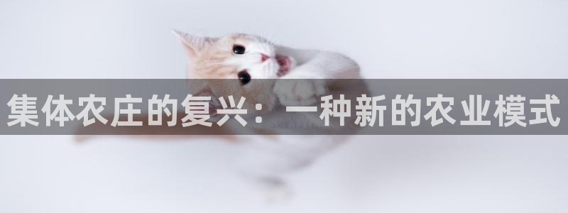 琳琅娱乐注册咋7O777