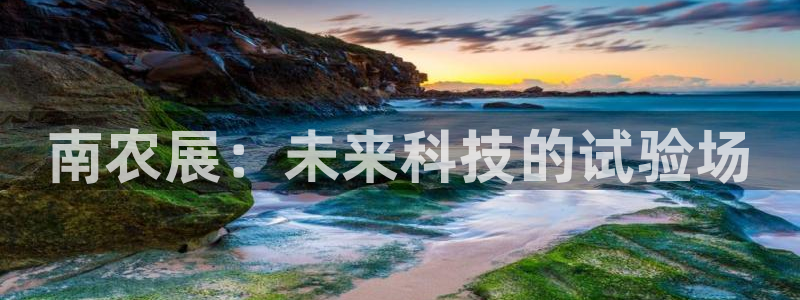 琳琅科技娱乐QQ机器人