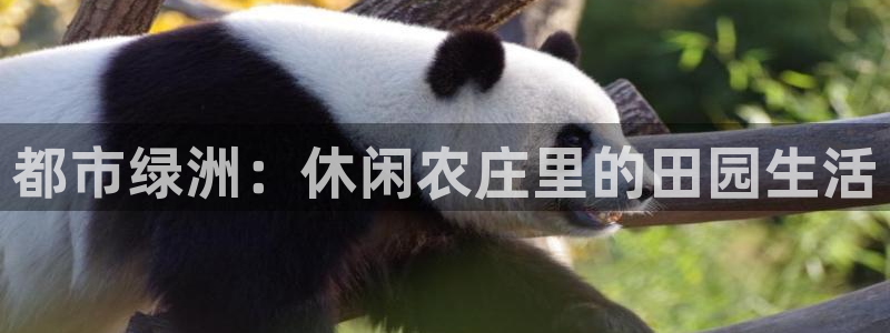 琳琅娱乐代理怎么做的