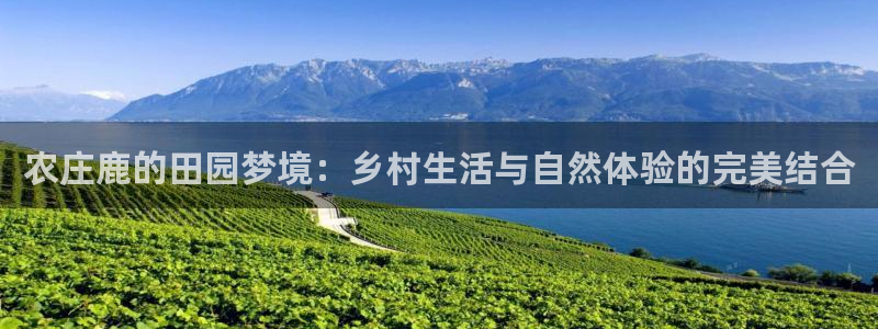 琳琅娱乐工作室招聘