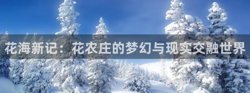 琳琅娱乐在线注册