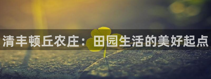 琳琅娱乐信誉33300