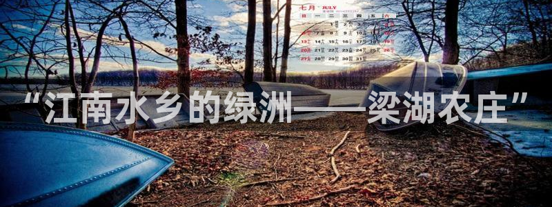 青娱娱乐琳琅导航