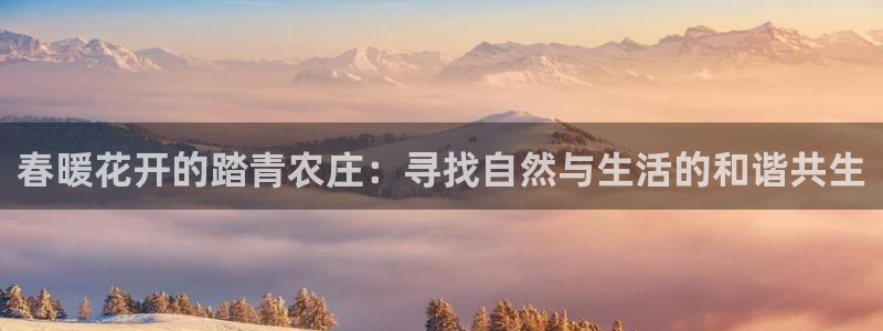 娱乐 从琳琅榜开始