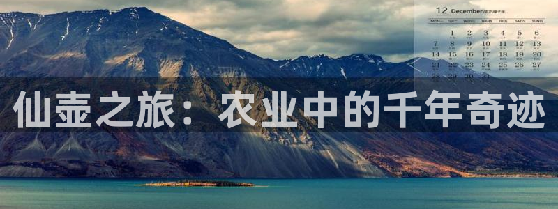 琳琅QQ娱乐机器人