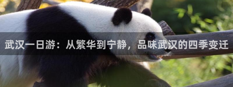 娱乐 从琳琅榜开始