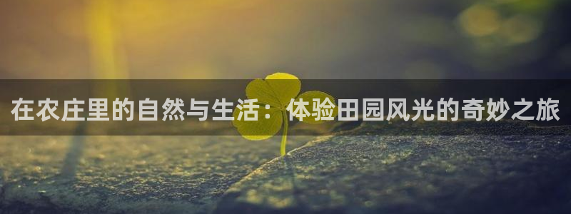 琳琅娱乐平台怎么样知乎